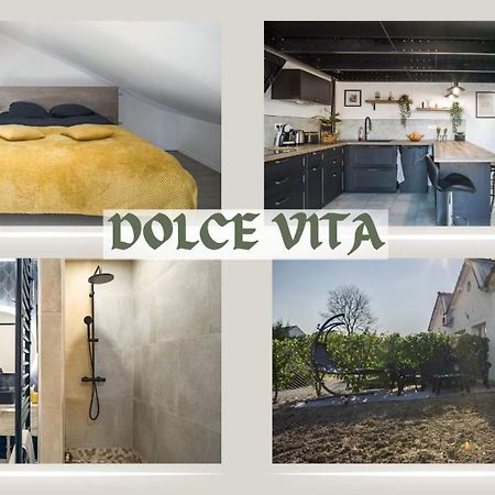 Loft Avec Jardin Et Parking Prive Appartement Troyes Buitenkant foto