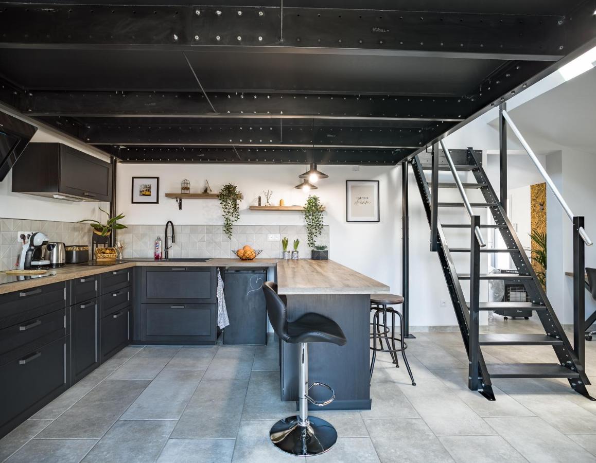 Loft Avec Jardin Et Parking Prive Appartement Troyes Buitenkant foto