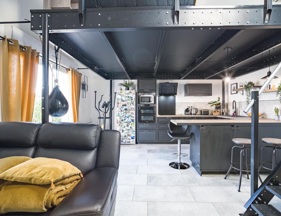 Loft Avec Jardin Et Parking Prive Appartement Troyes Buitenkant foto